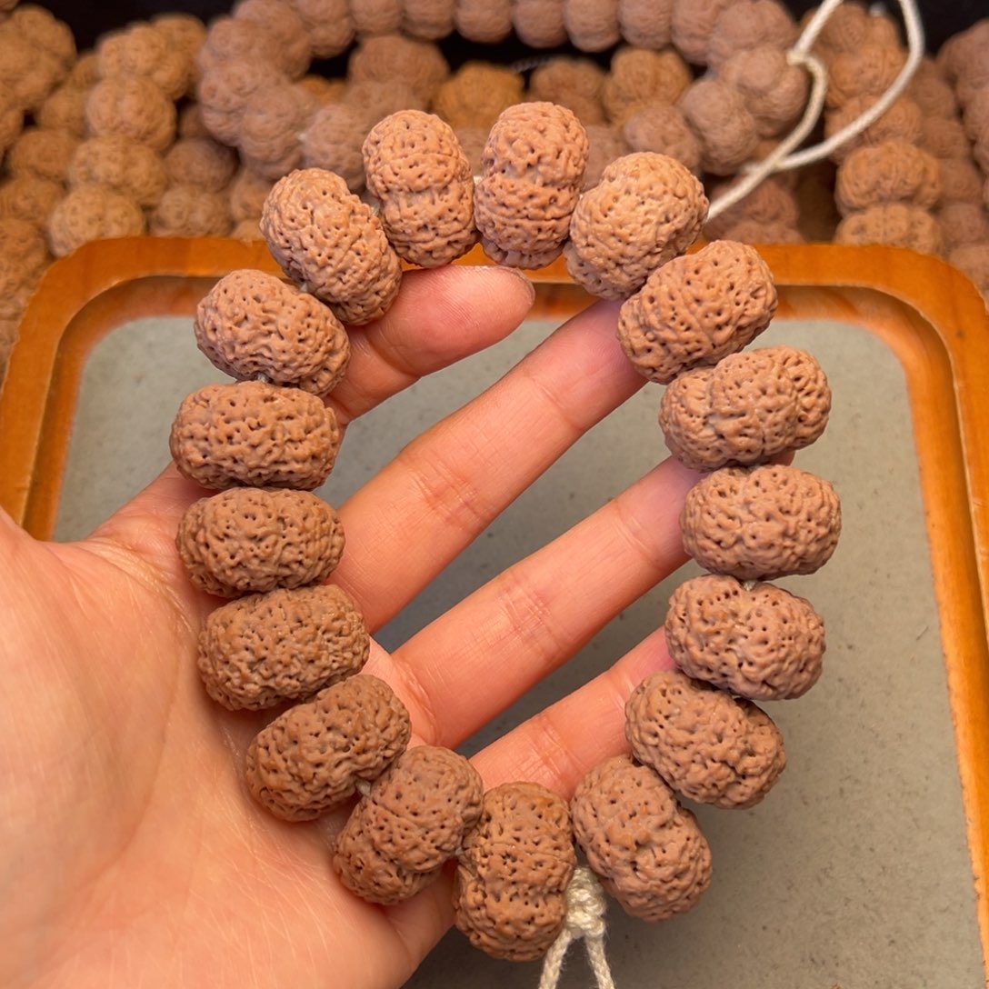 菩提7号金刚菩提菠萝蜜夹板24