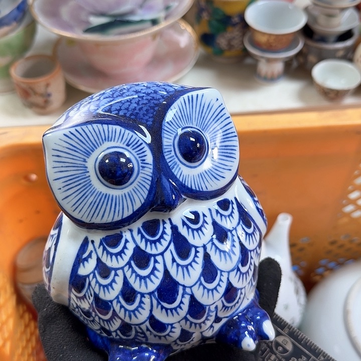 碟开播啦…开播啦