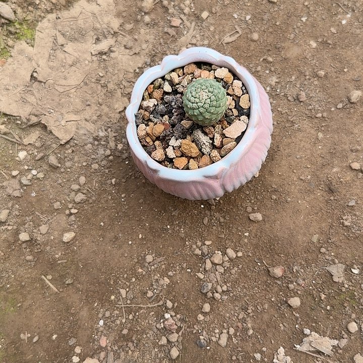 余***6       金泰集团董事局