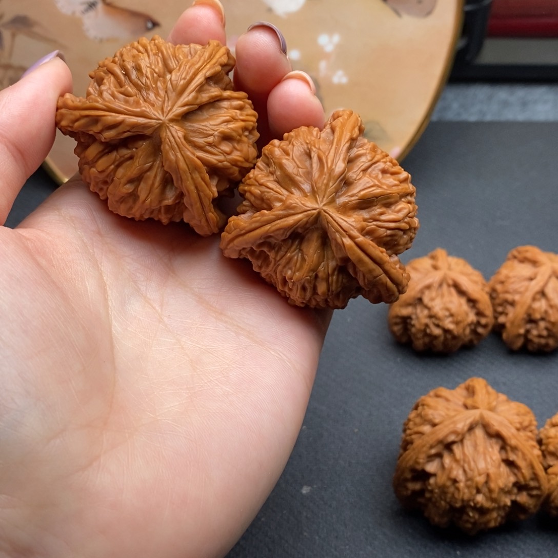 小***图白狮子11111111111