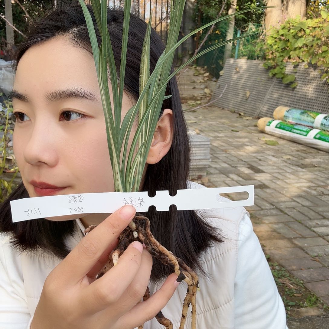 朱***东完全开放1234658800