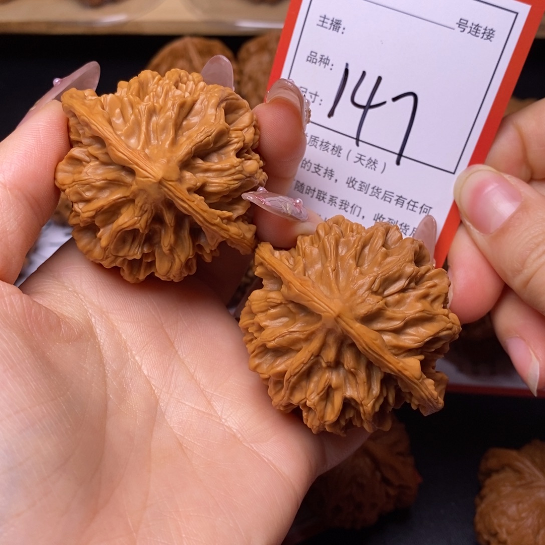 文玩核桃把件5.0帝王147