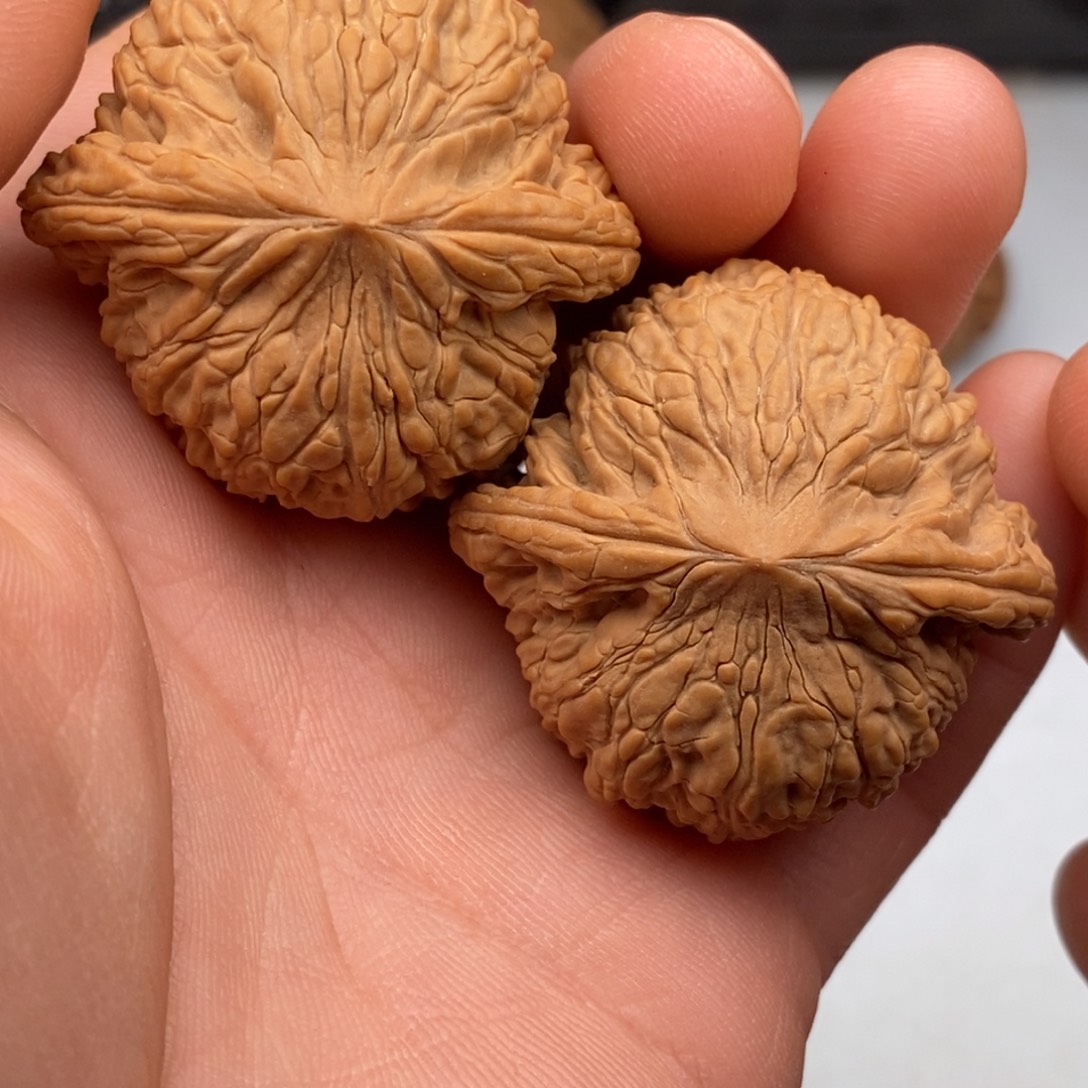 文玩核桃把件41泥鳅背