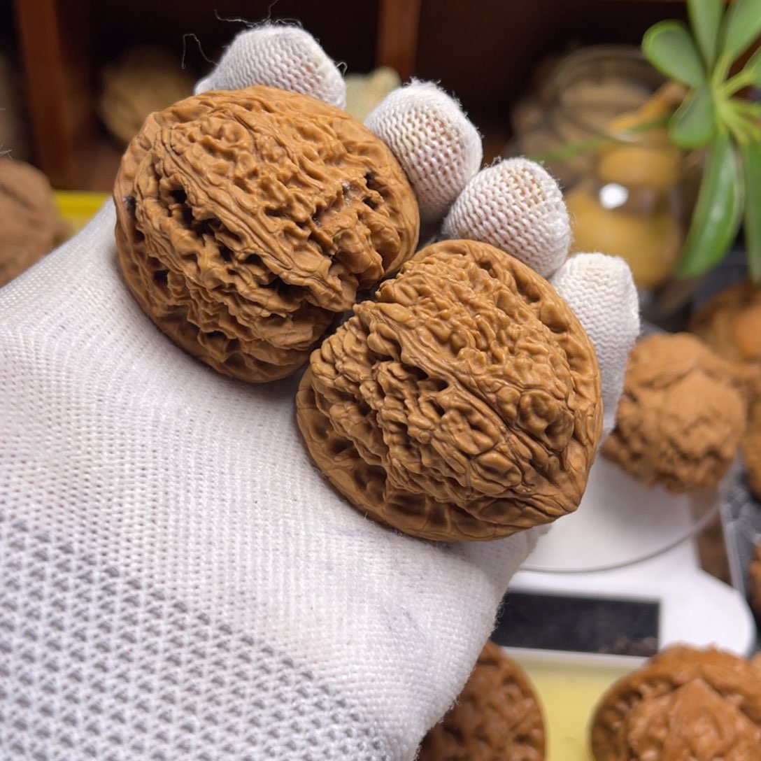 木质青***！南疆石狮子头全品