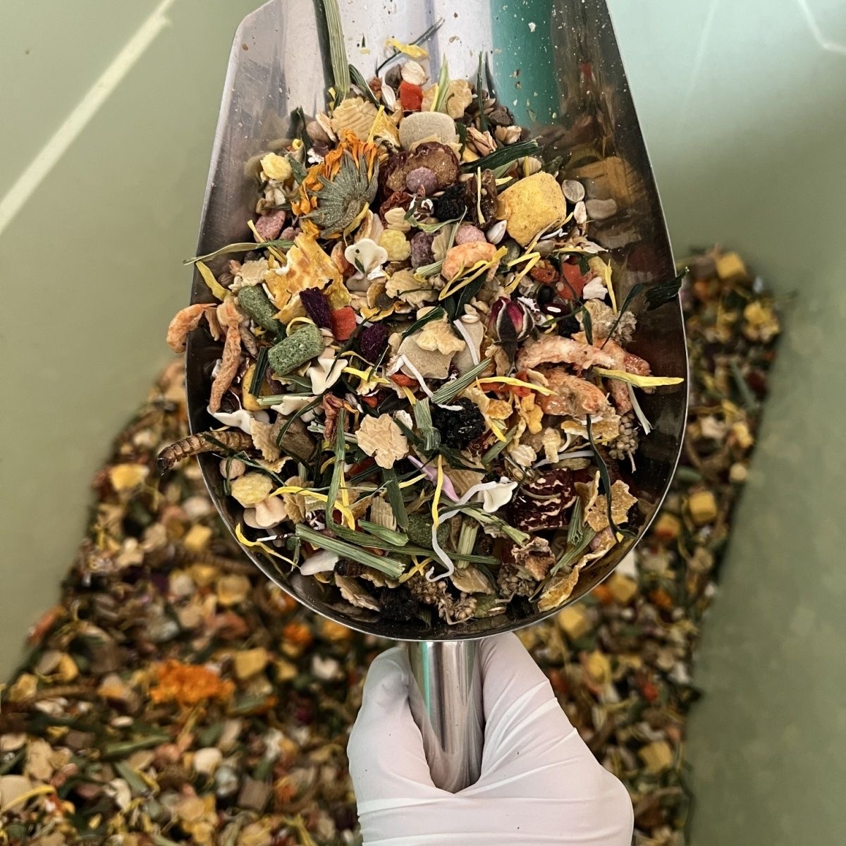 仓鼠粮食金丝熊粮食自配粮仓鼠专用粮食金丝熊粮食高蛋白主粮增肥