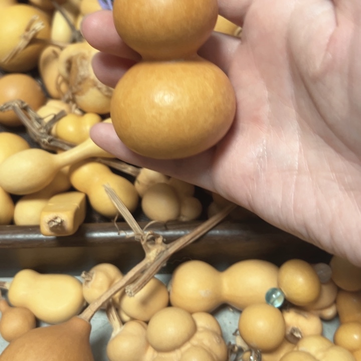 波***波葫芦葫芦葫芦葫芦