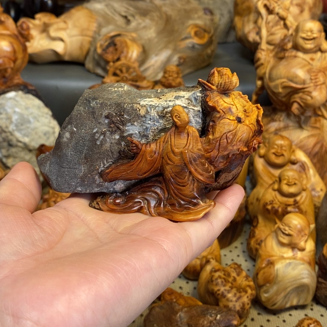 柏木（崖柏）太行山上