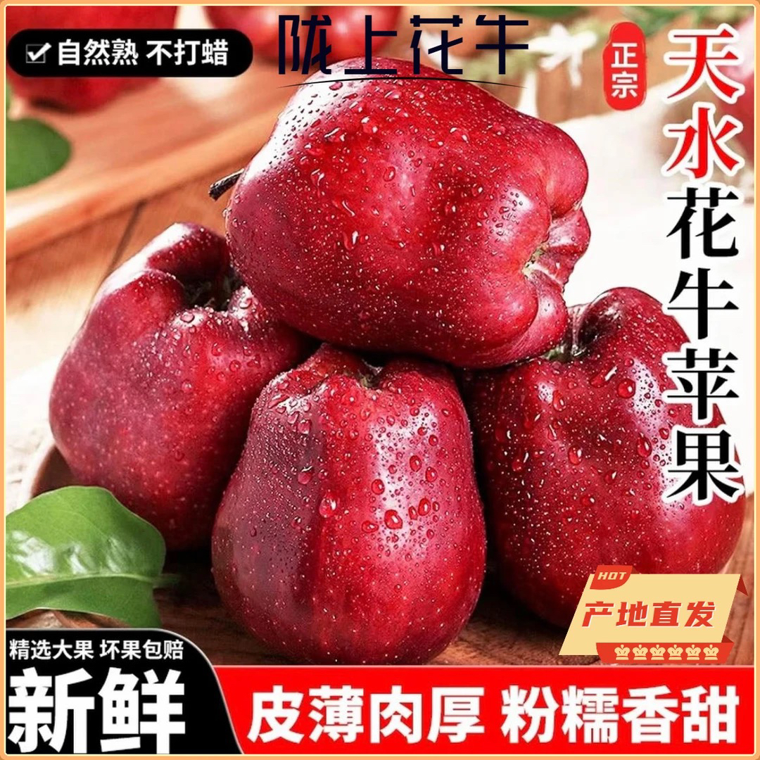 【产地直发】3/5/10斤甘肃天水花牛粉苹果新鲜水果红蛇果爆