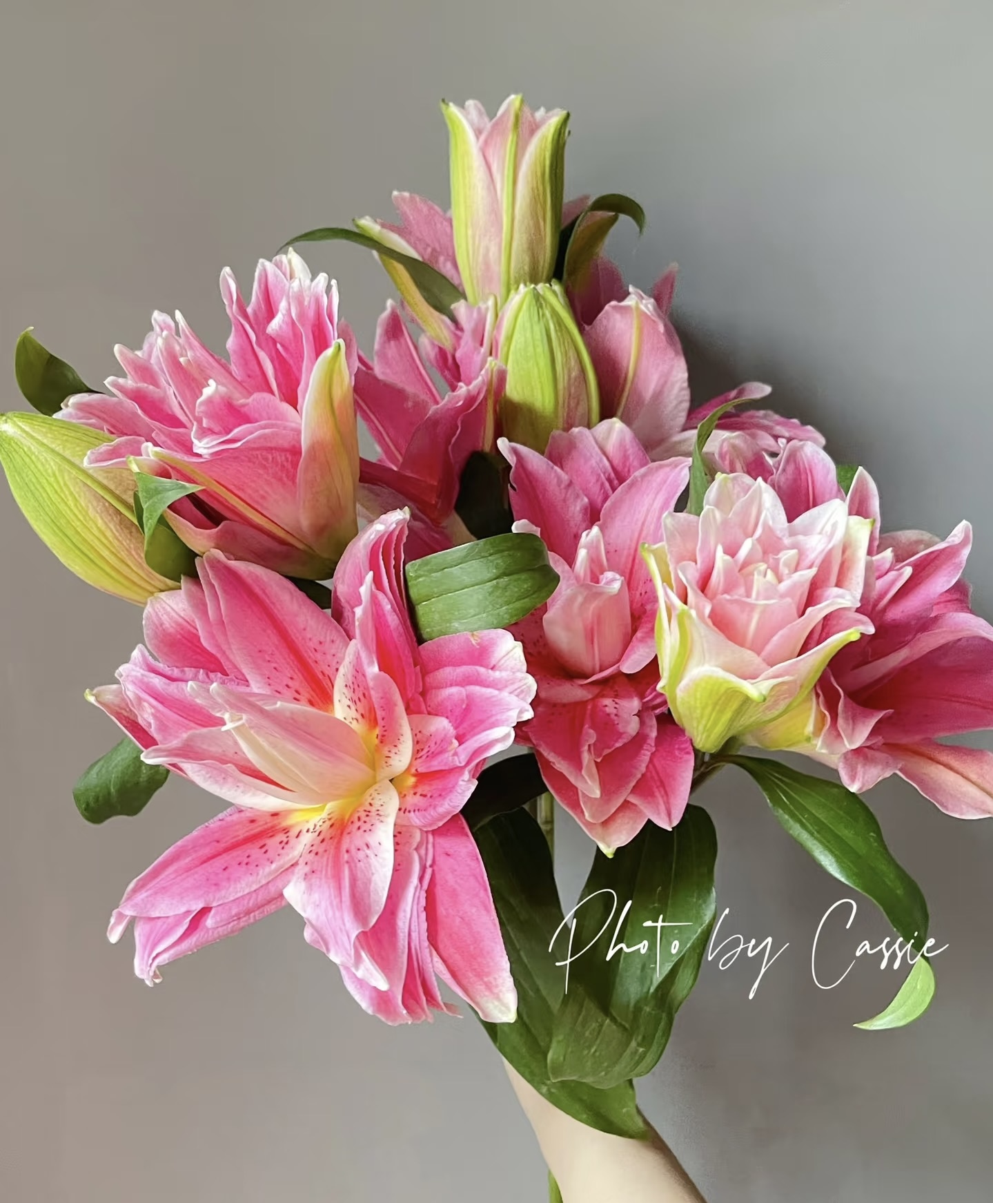 红美人重瓣百合3支多头（收到及时醒花）