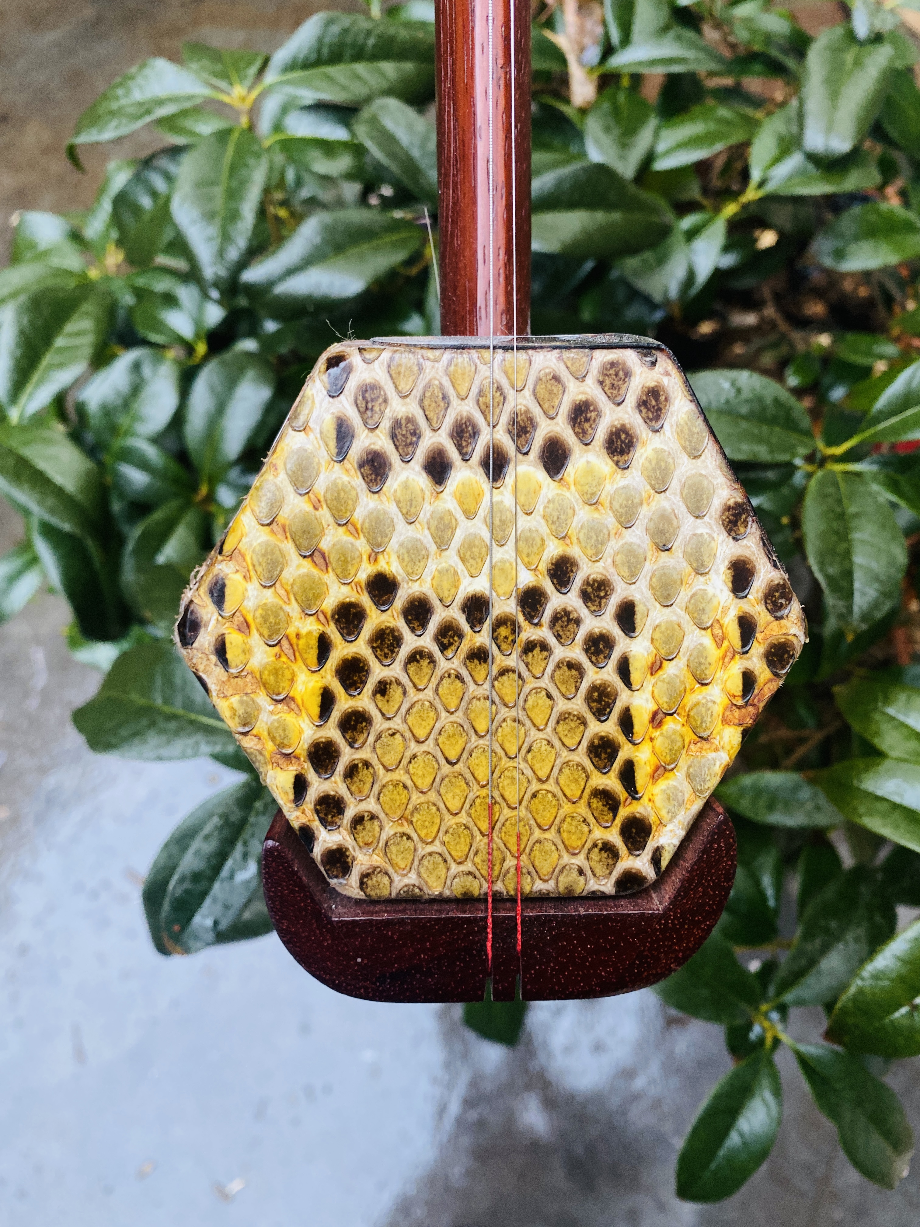精品红花梨木二胡