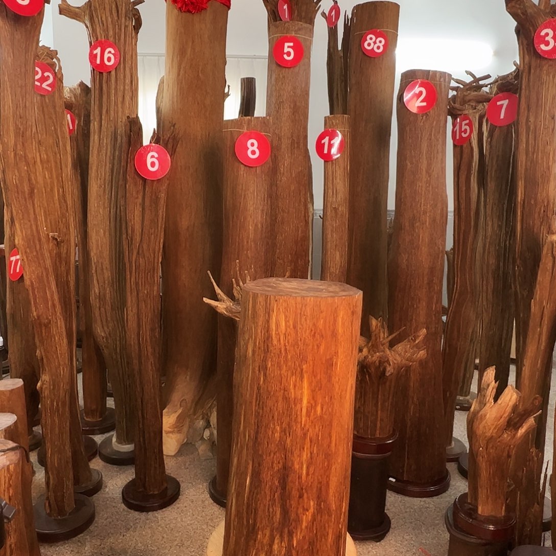 王***二沉香碎屑沉香沉香原料H