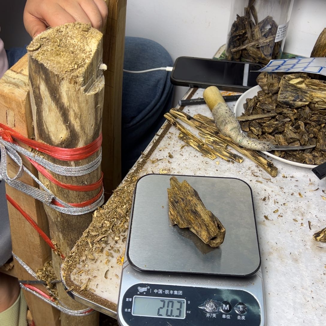 线香奇楠虫漏香20克