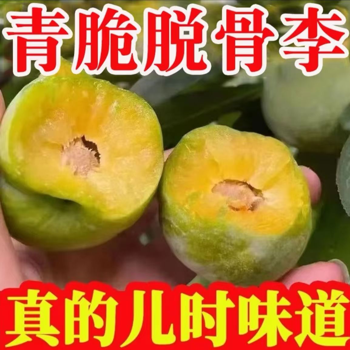 茶【买三斤送两斤】正宗四川脱骨李青脆李当季新鲜水果酸甜多汁cdw