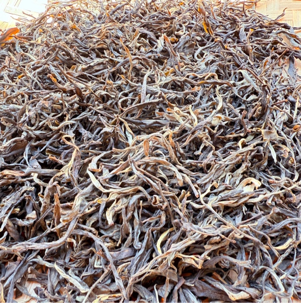 梅子树田、2023年大包包头春头采果香蜜香普洱茶