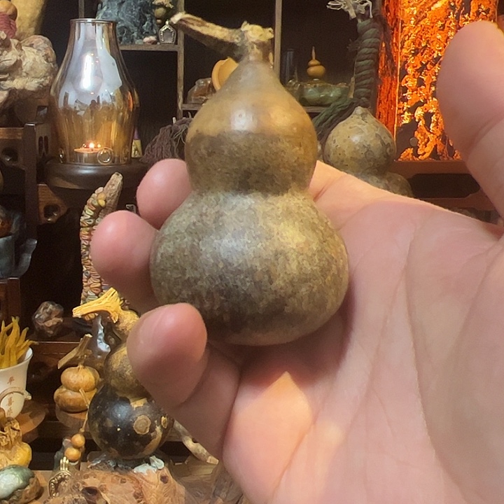 小***粉大叶紫檀（黑酸枝木类）