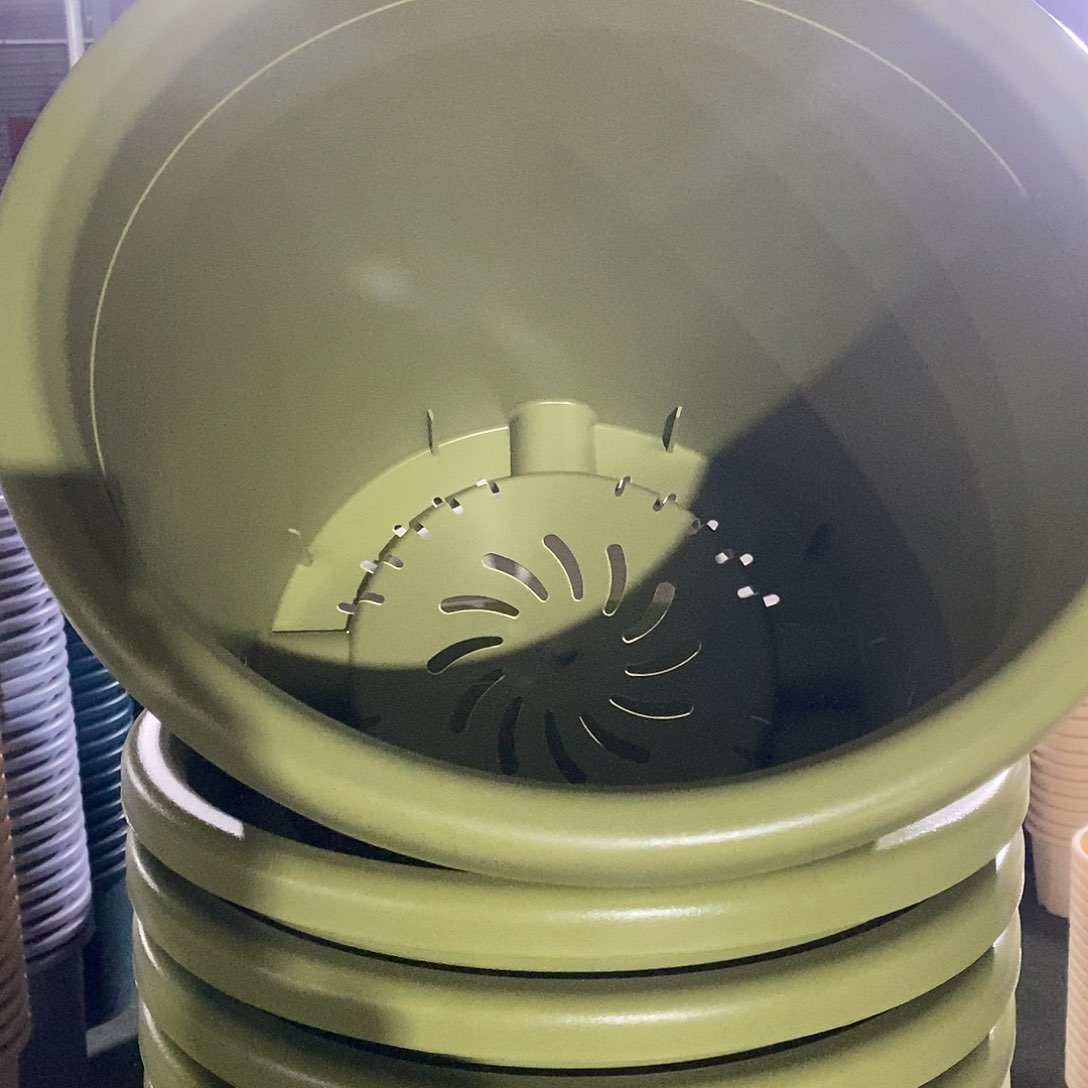 四季9号4个无拖果绿