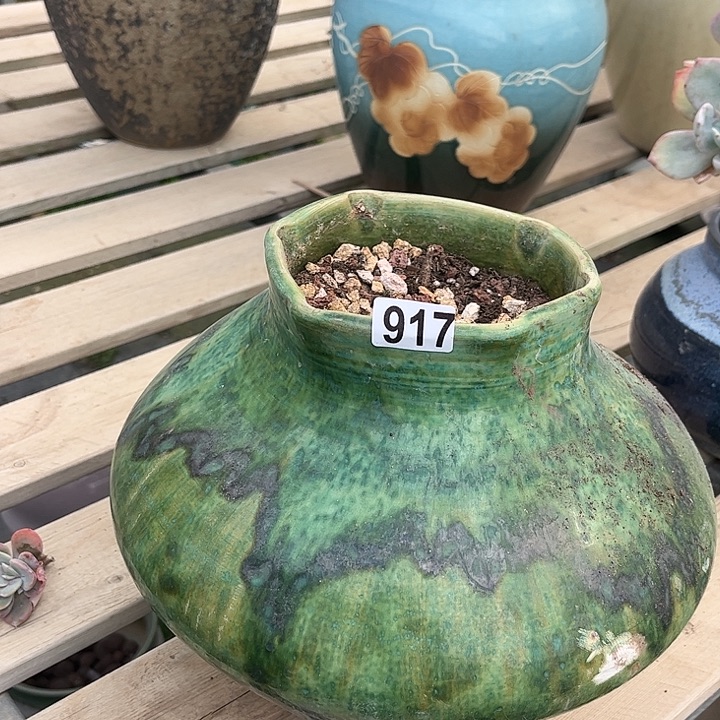 H***️917表妹专拍链接脱土发货