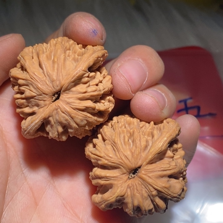 发***奥吊坠文玩核桃精品课程和专业的