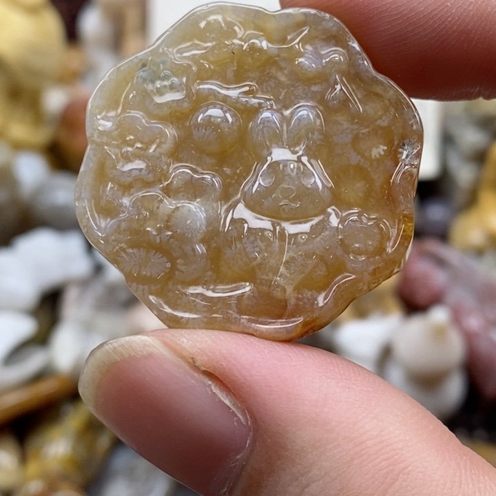 颈饰未镶嵌硅化珊瑚（珊瑚玉）有瑕 小