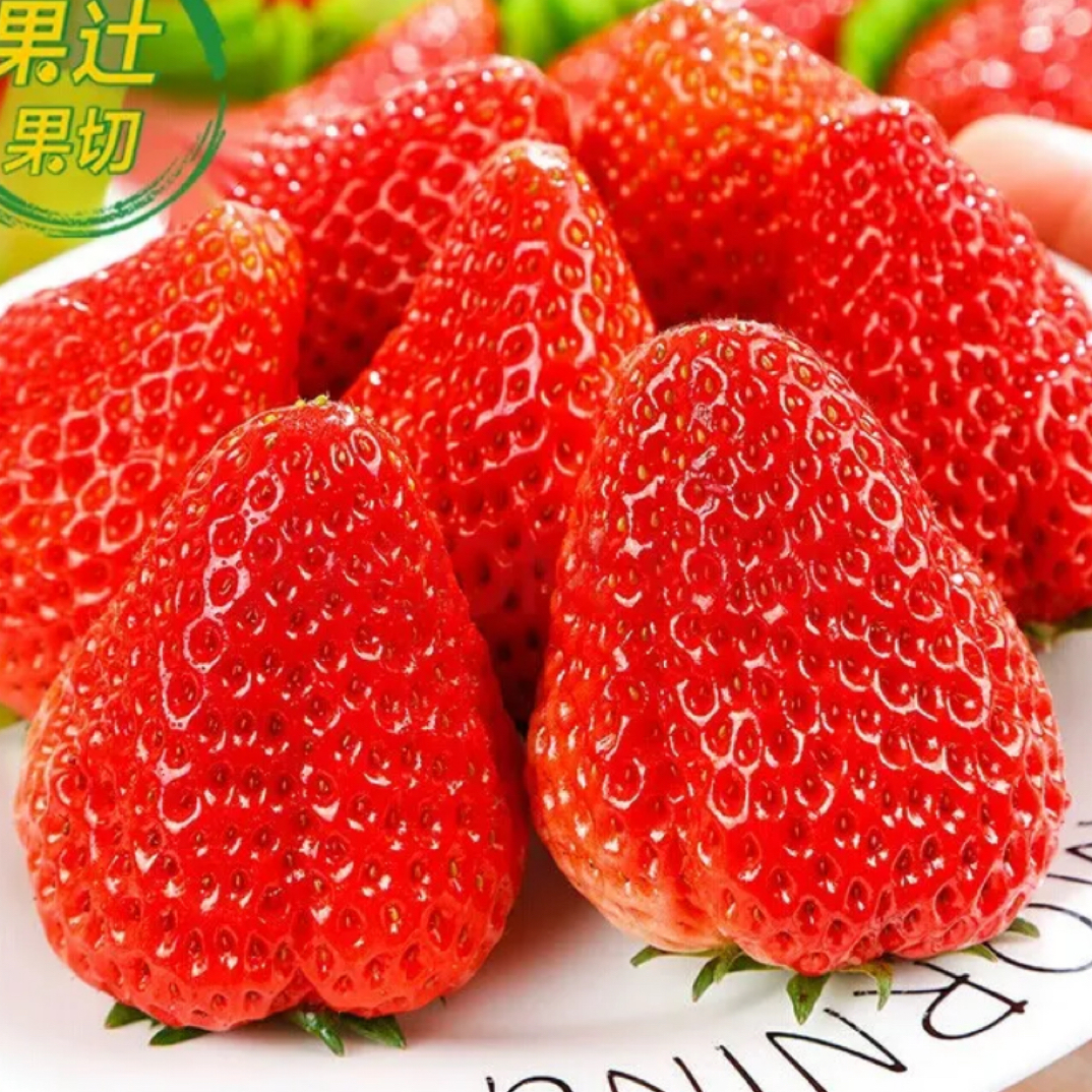 【应季新品】丹东久久草莓-约450g