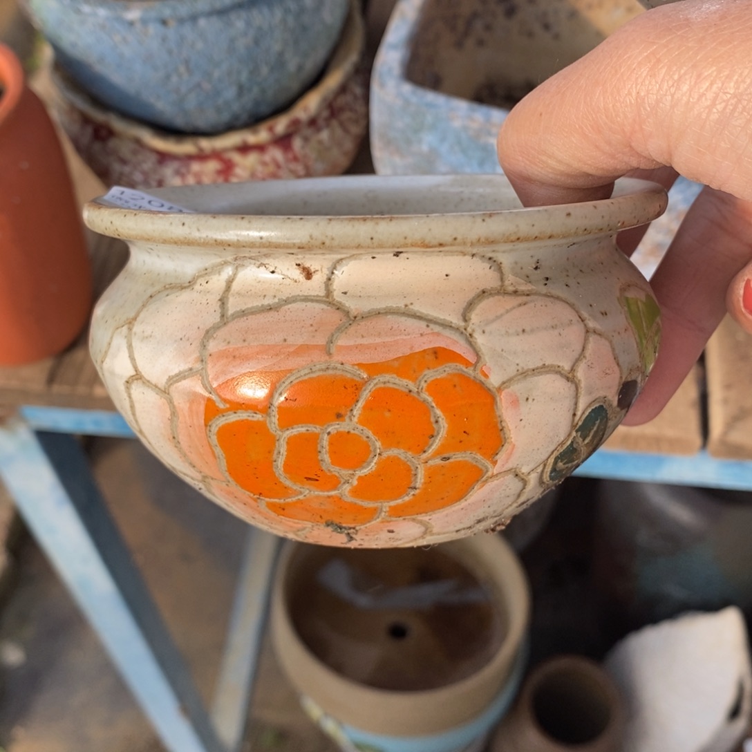 81号多肉盆口径8小可爱