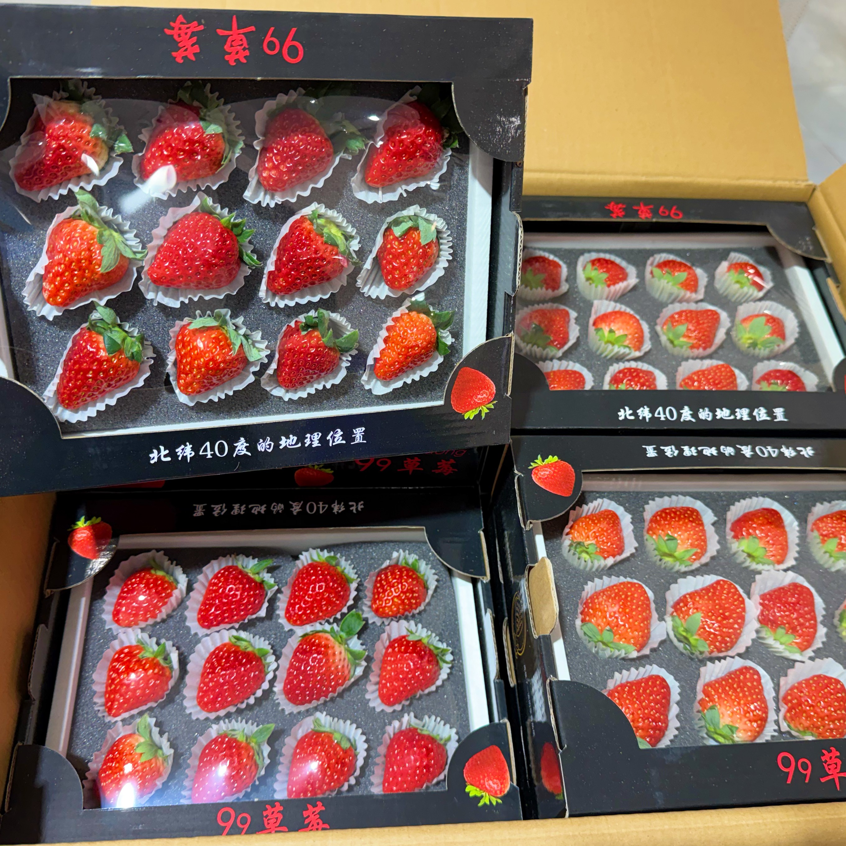丹东九九草莓（每盒）（9枚12枚随机）