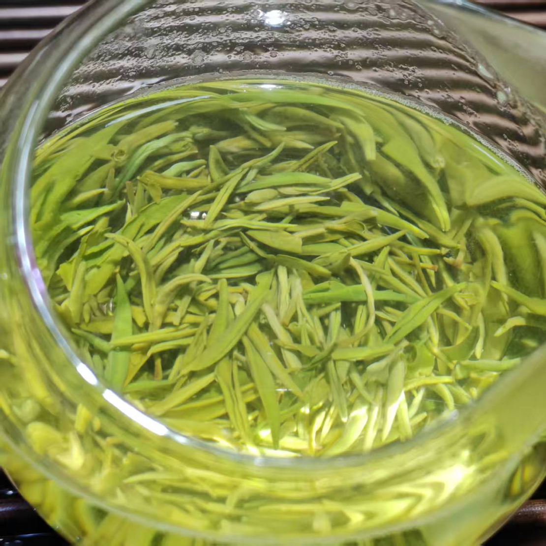25年古丈毛尖明前针茶（特级）