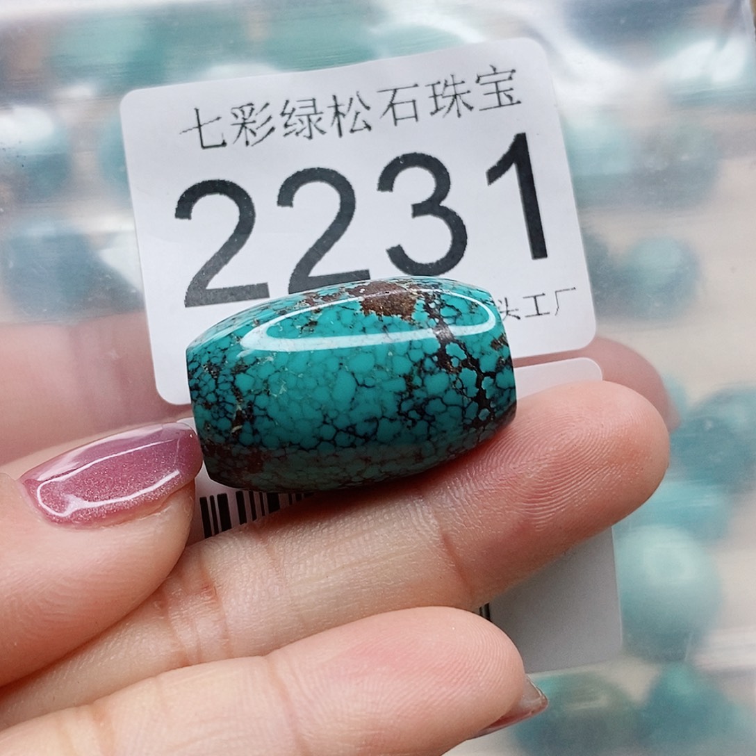 绿松石颈饰未镶嵌