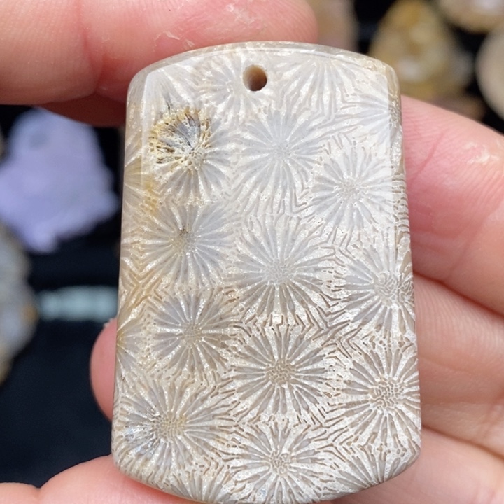 硅化珊瑚（珊瑚玉）手镯未镶嵌