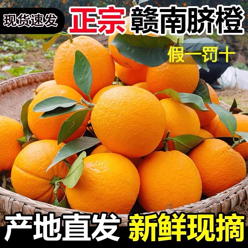 【赣南直发】正宗10斤装江西赣南脐橙  新鲜现摘 产地直发鲜美多汁 