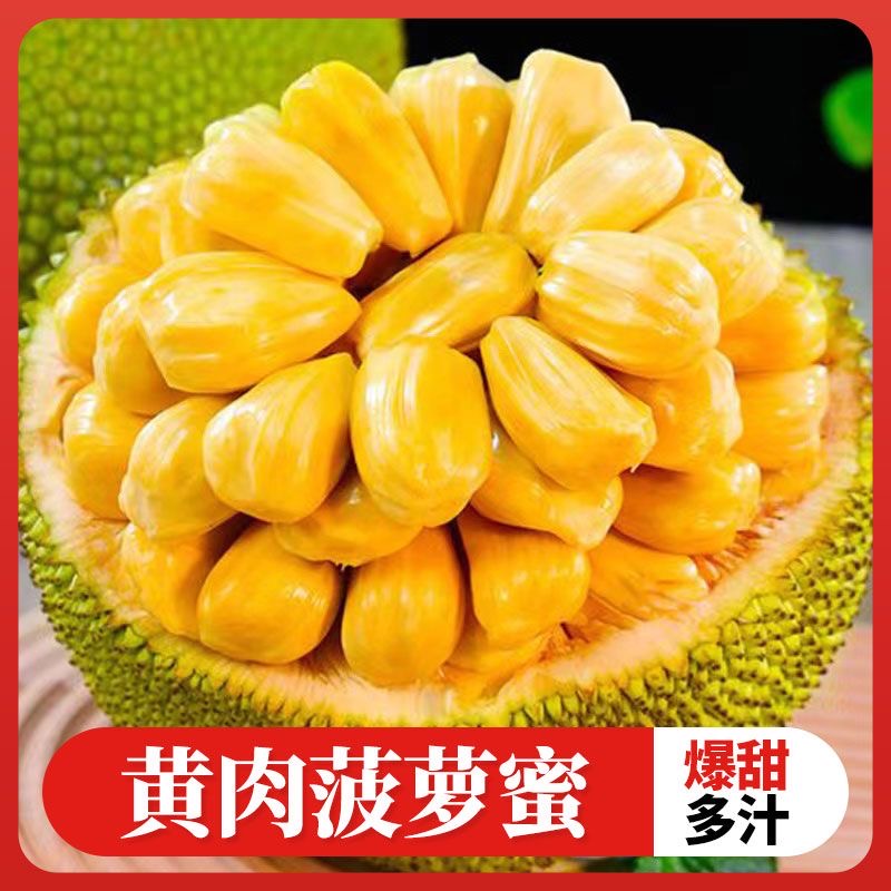 海南三亚黄肉干苞木菠萝现摘新鲜热带水果【确认生熟再食用】