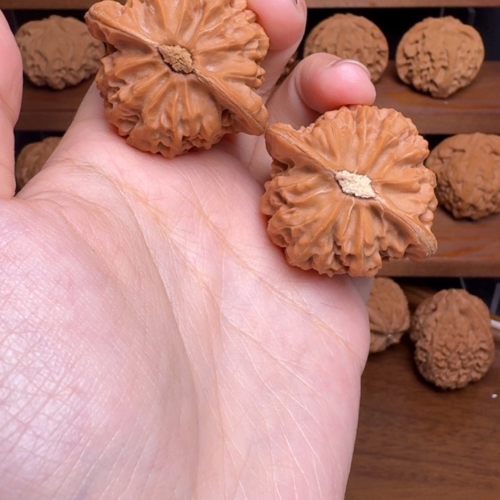 从***定文玩核桃把件宫灯的全品