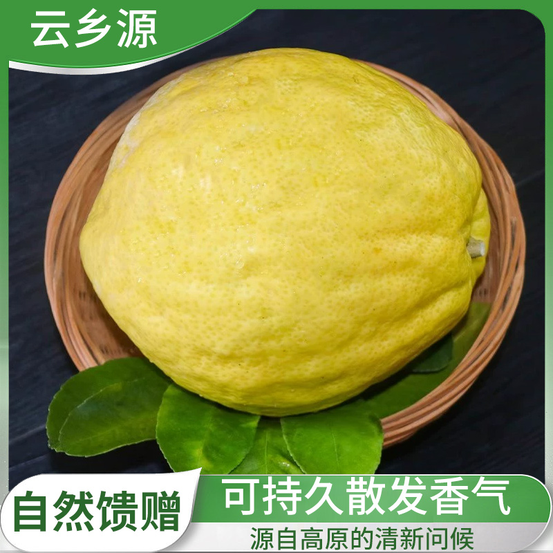 云南高山香橼果3-8斤成熟黄果香味更浓可把玩闻香观赏