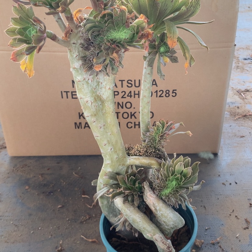 【闪购商品】瑕疵特价不售后046