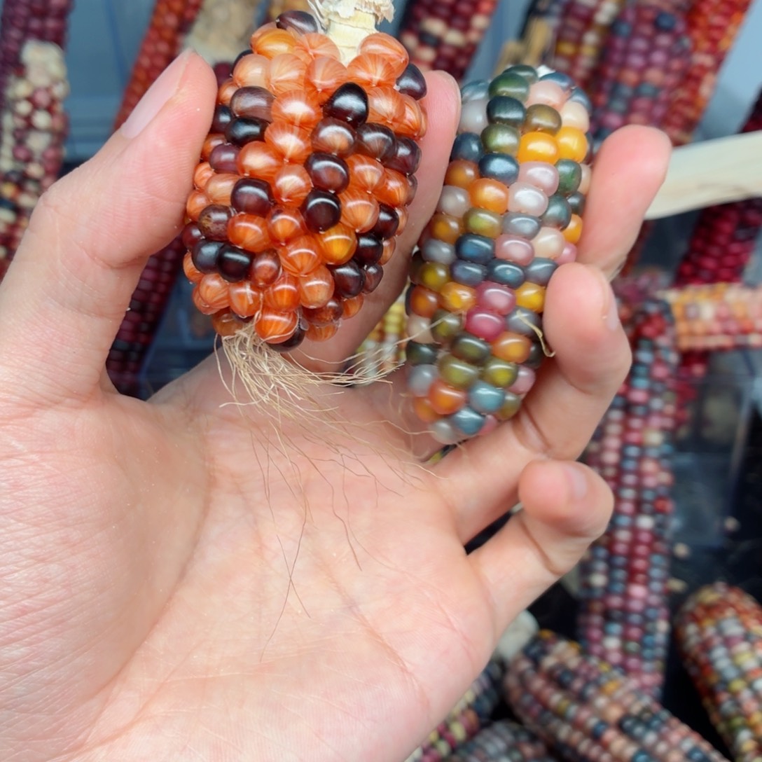 艾***雨吊坠白玉菩提文玩精品文玩精品