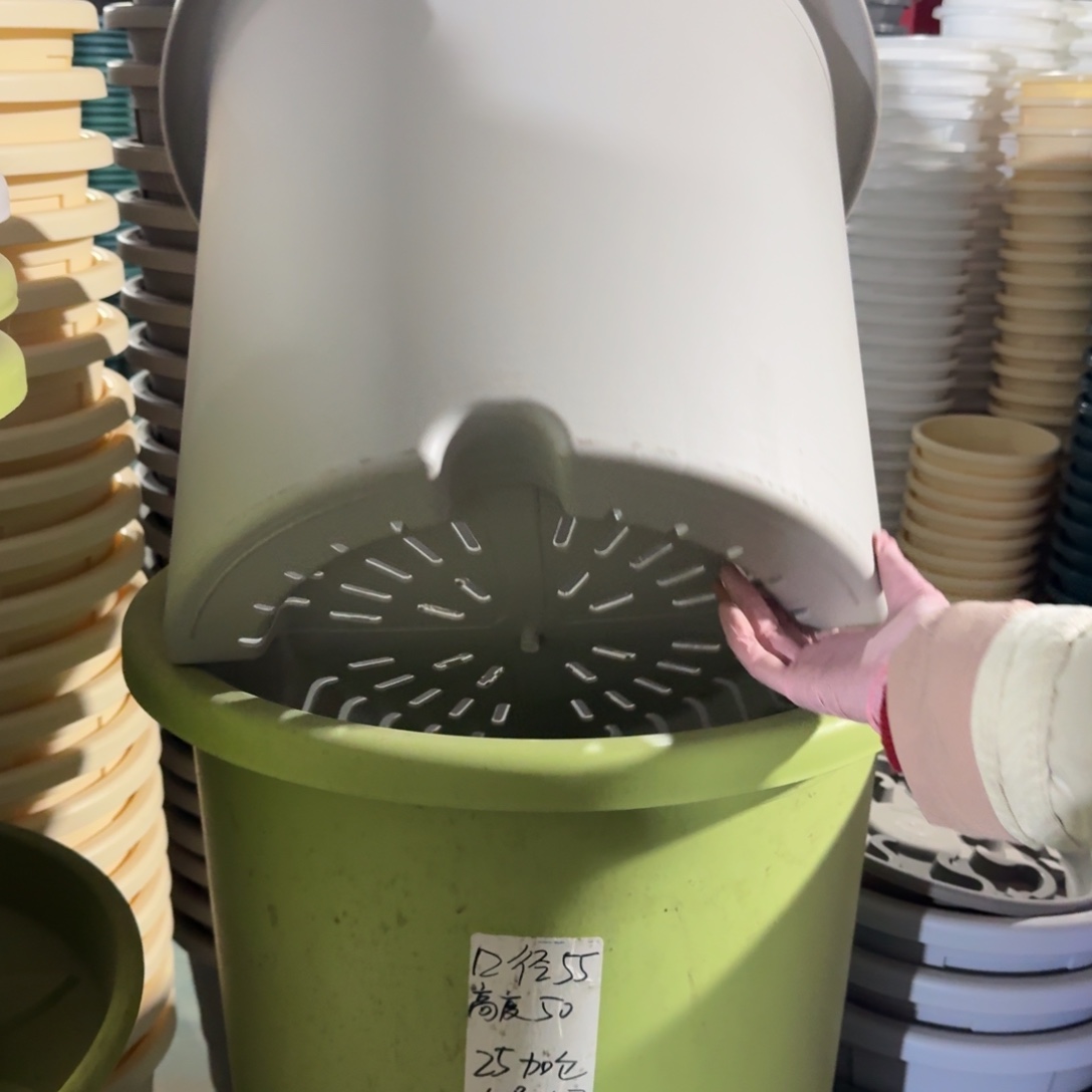 四季10#口径55无拖果绿2个