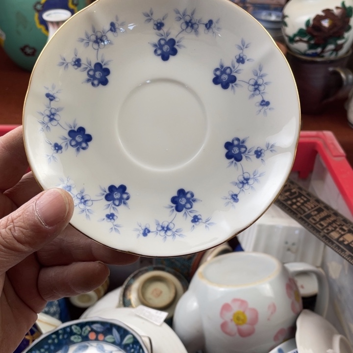 碟开播了开播了开播了