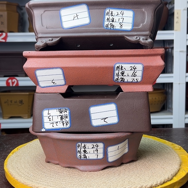 花盆紫砂蛇年大吉