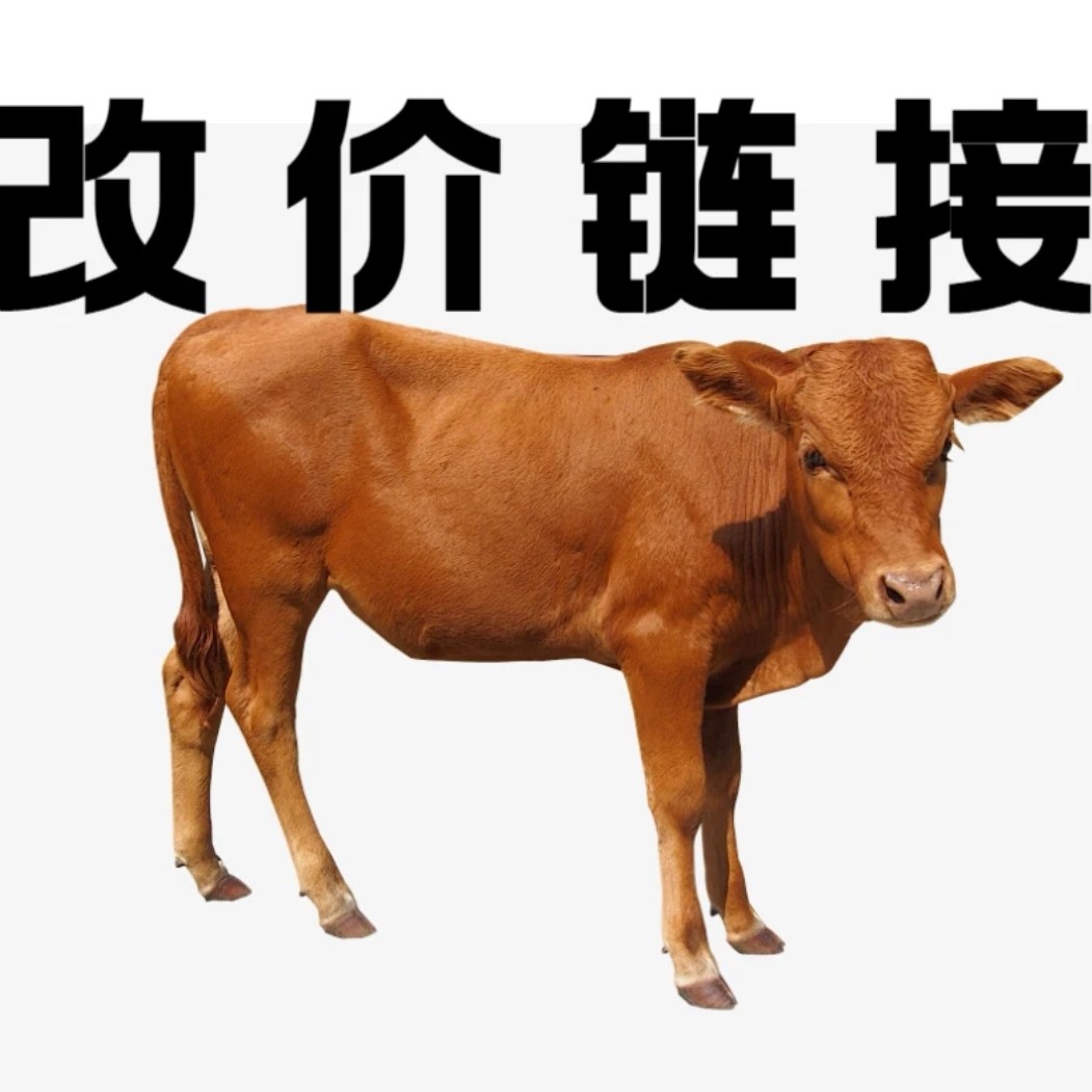 鲜肉现场选现场称重 改价上链接