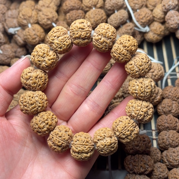 菩提尼泊尔大金刚爆肉梁20