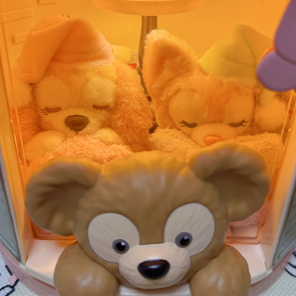 毛绒专用链接5-100