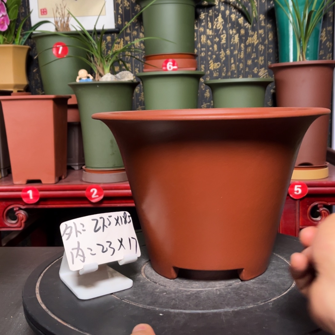 紫砂花盆紫砂花盆