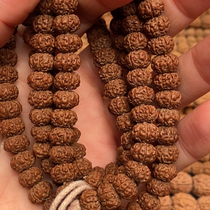 菩提兜**转树王小金刚