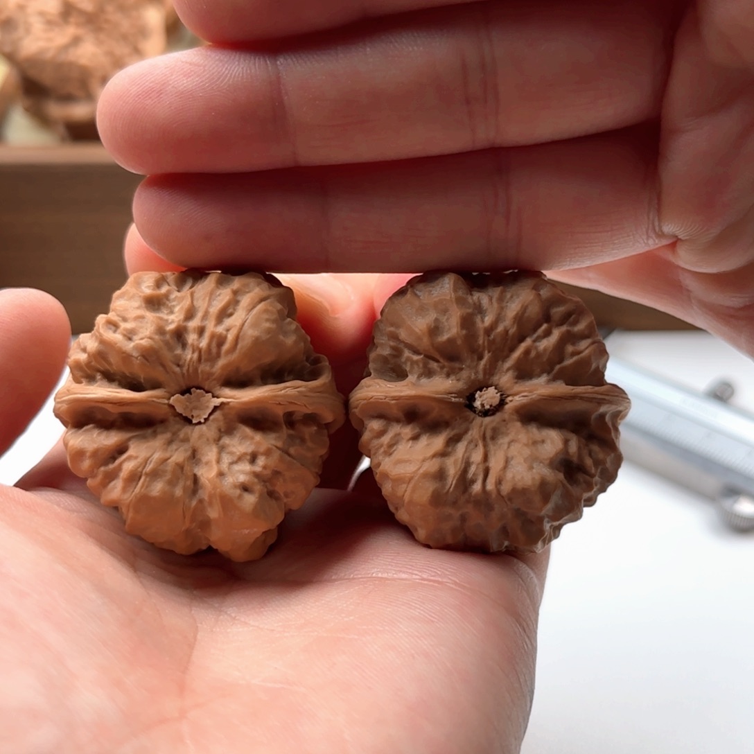 S****核桃把件延庆蛤蟆