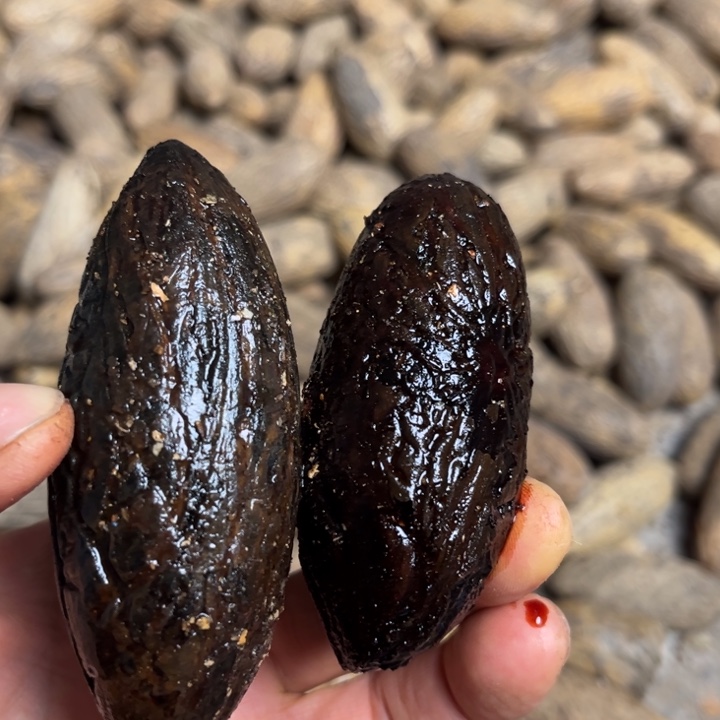 平***⁼千眼菩提吊坠千眼菩提第888