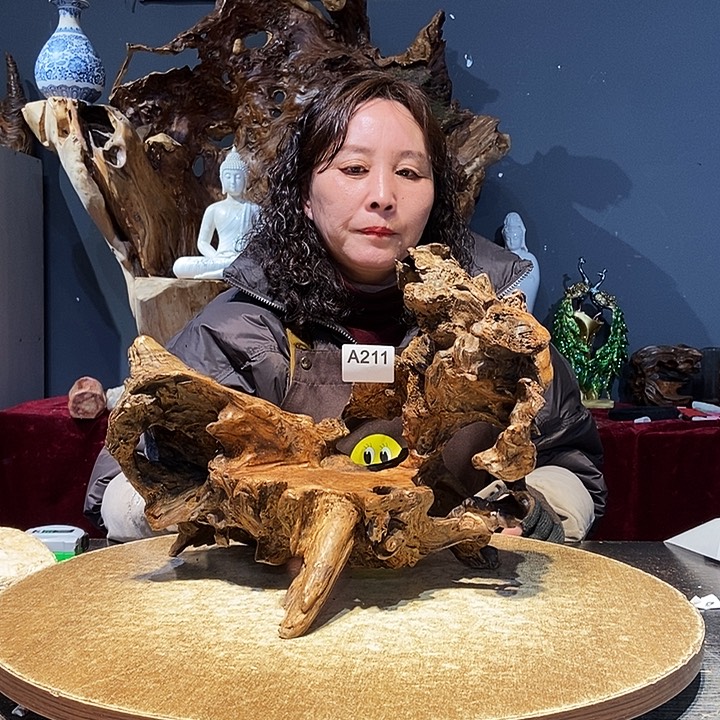 星****儿211株木底座随行根艺