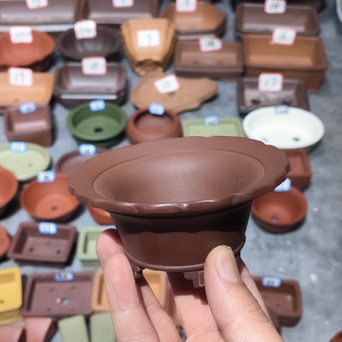 紫砂小盆7*3.5cmvvv