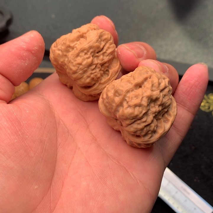 文玩核桃把件38号43肚延庆蛤蟆