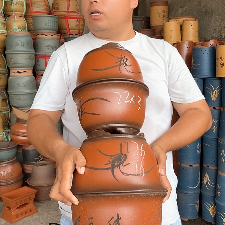 紫砂花盆紫砂花盆盆栽植物花卉苗木种植