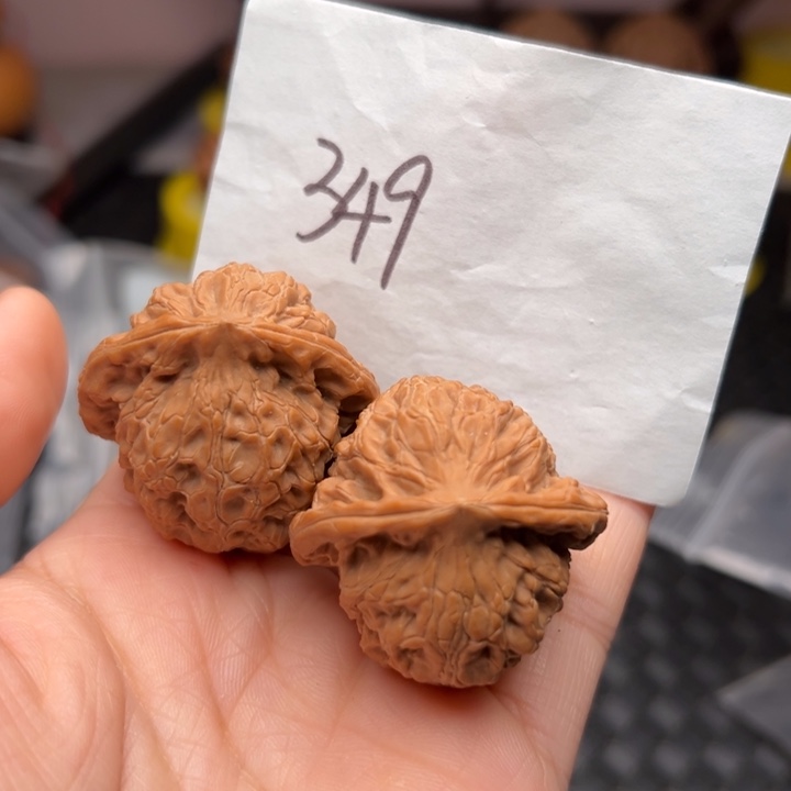 核桃375尺寸全品玄武